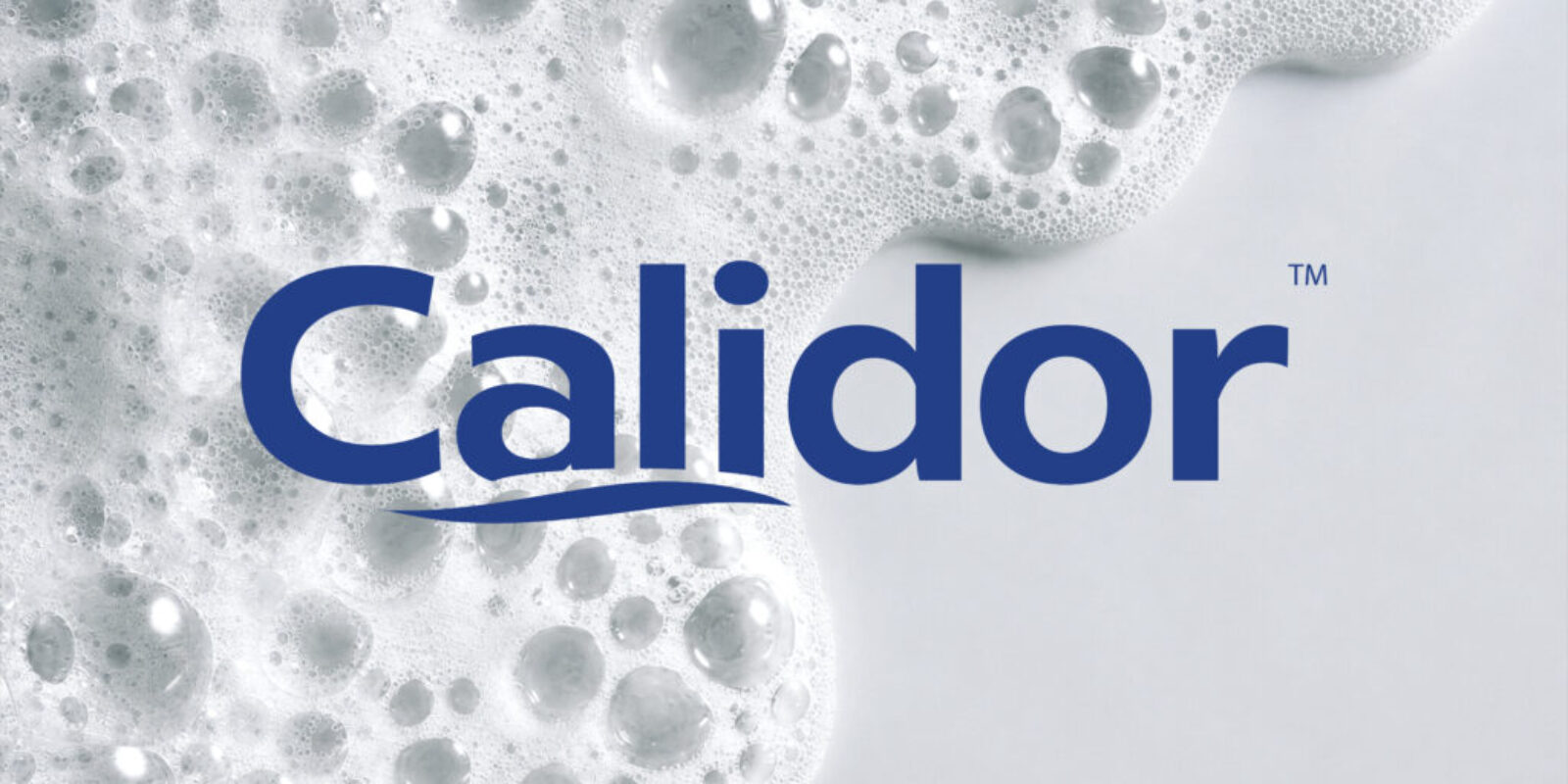 Calidor Banner-02