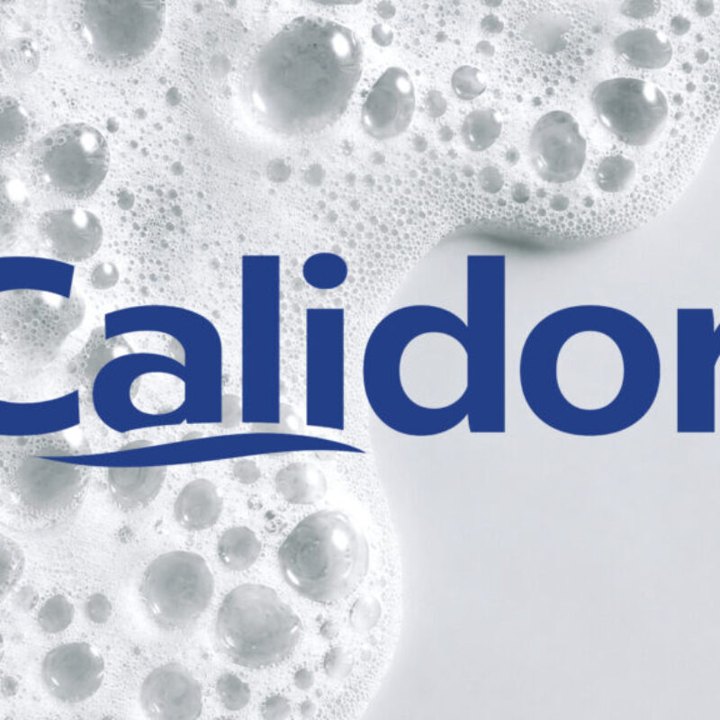 Calidor Banner-02